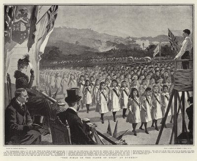 The Field of the Cloth of Gold at Dunedin by Gordon Frederick Browne
